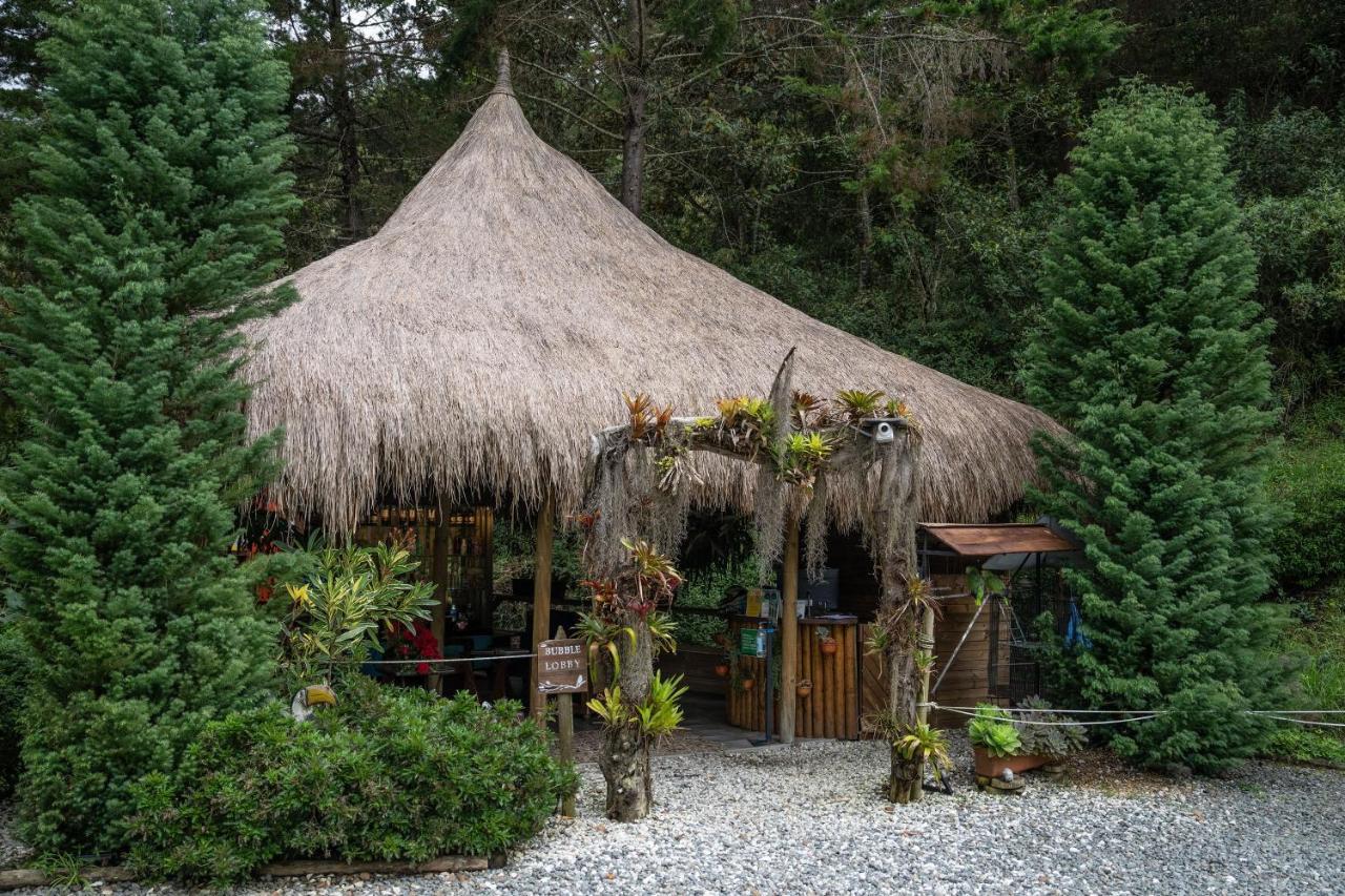 Bubblesky Glamping 40 Min From Medellin Hotell El Retiro  Exteriör bild