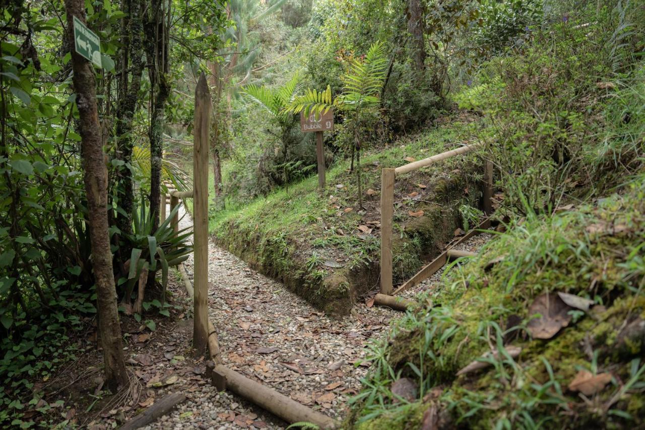 Bubblesky Glamping 40 Min From Medellin Hotell El Retiro  Exteriör bild