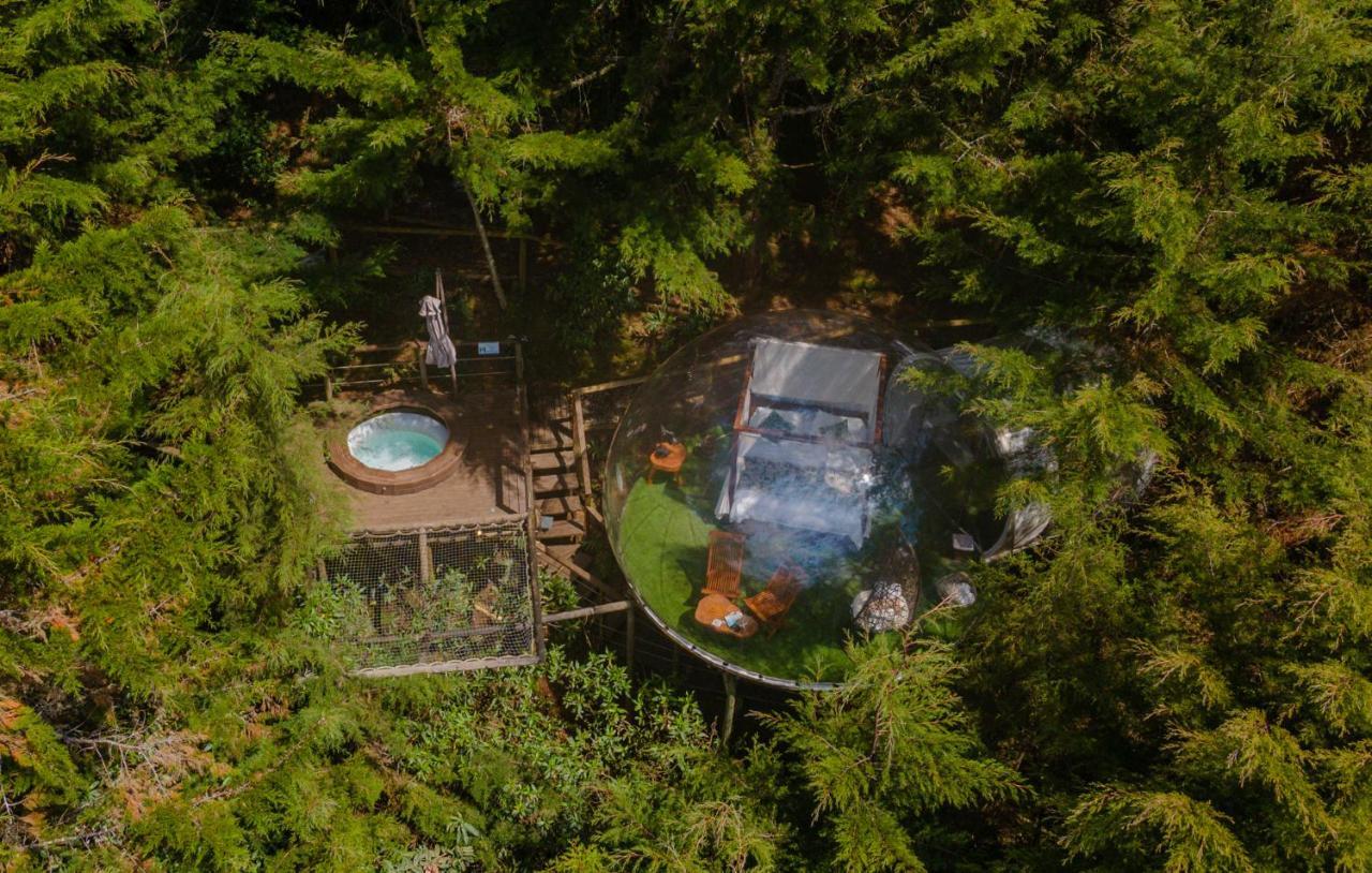 Bubblesky Glamping 40 Min From Medellin Hotell El Retiro  Exteriör bild