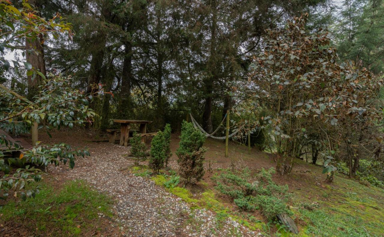 Bubblesky Glamping 40 Min From Medellin Hotell El Retiro  Exteriör bild