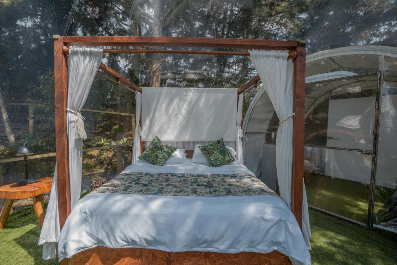 Bubblesky Glamping 40 Min From Medellin Hotell El Retiro  Exteriör bild